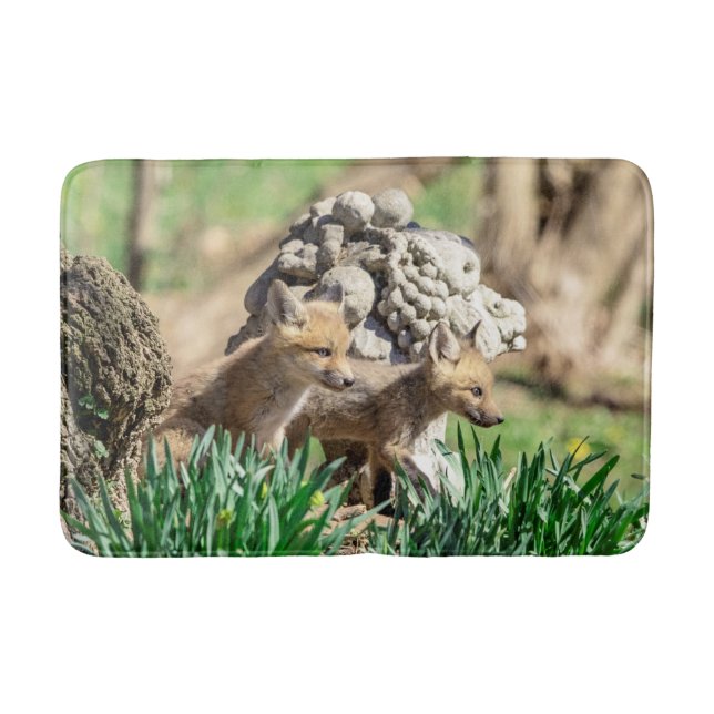 Tapete De Banheiro Kits Fox no Vale do Hudson (Frente)