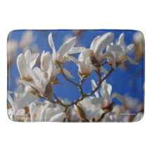 Lindo Flores Brancas Magnolia Sargentiana