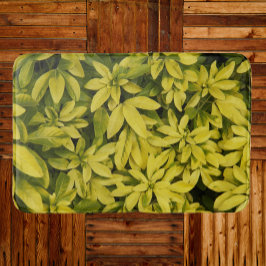 Tapete De Banheiro Lírios Asiáticos Amarelos