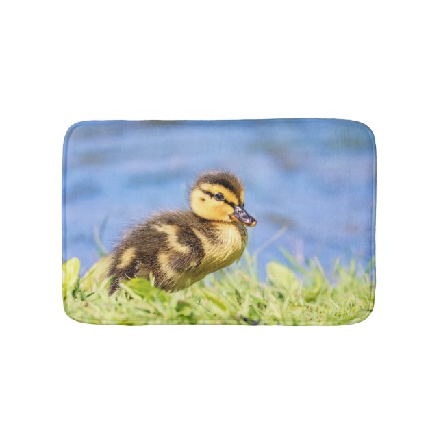 Tapete De Banheiro Mallard Duckling (frente)