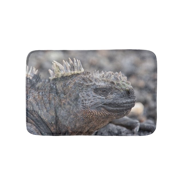 Tapete De Banheiro Marine Iguana (frente)