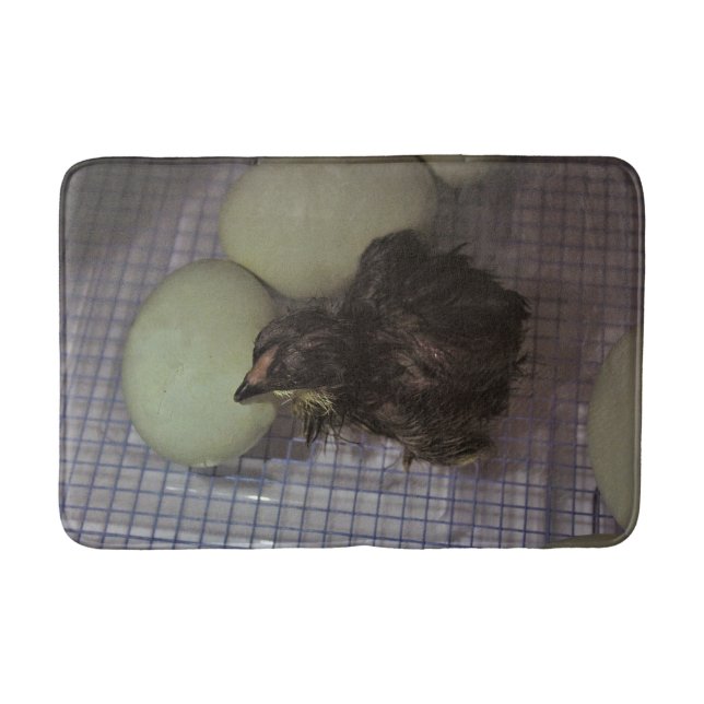 Tapete De Banheiro Minutos velhos (Frente)