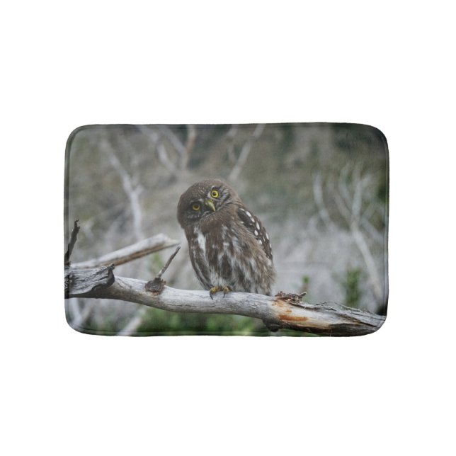 Tapete De Banheiro Norte Pygmy Owl Mat (frente)