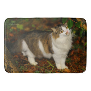 Tapete De Banheiro O Gato e a Camellia