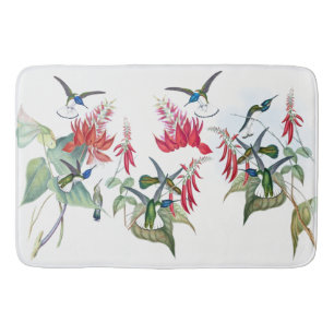 Tapete De Banheiro O vermelho azul dos pássaros dos colibris floresc
