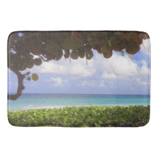 Tapete De Banheiro Ocean View, Juno Beach