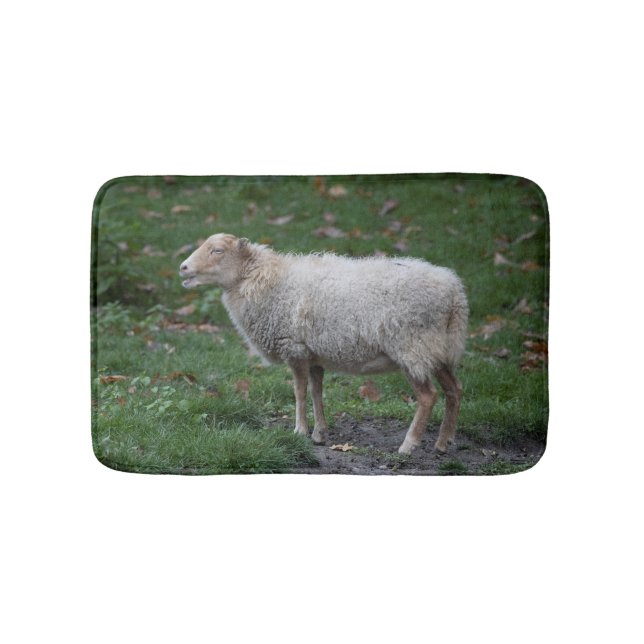 Tapete De Banheiro Ovis aries (frente)