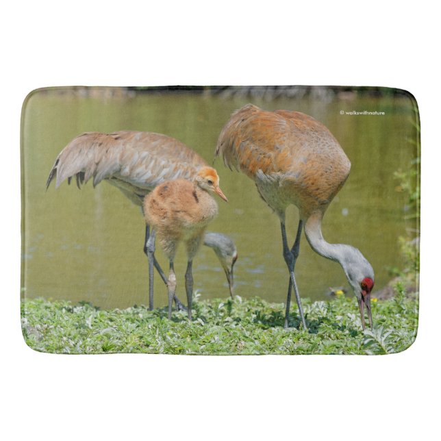 Tapete De Banheiro Pais e Pintinhos de Sandhill Crane (Frente)