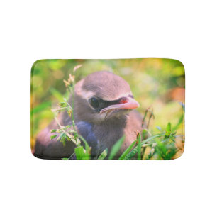 Tapete De Banheiro Pássaro-preto-branco-de-vidro-Waxwing