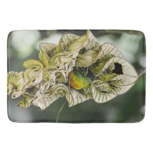Tapete De Banheiro Pássaro Verde, Euphonia Belize Fotografia