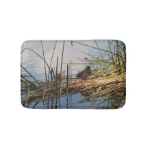 Patos selvagens no junco