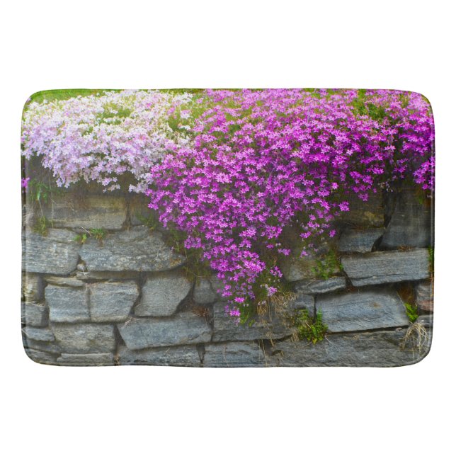 Tapete De Banheiro Phlox em rochas (Frente)