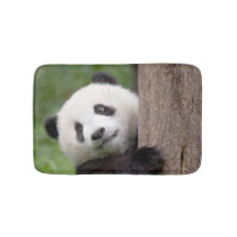 Pintura doce do urso de panda