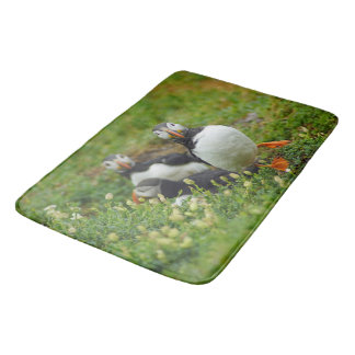 Tapete De Banheiro Puffins - little birds big