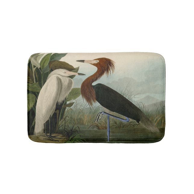Tapete De Banheiro Púrpura Heron Audubon Bird Willife Painting (frente)