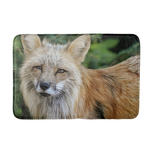 Tapete De Banheiro Raposa selvagem (Frente)