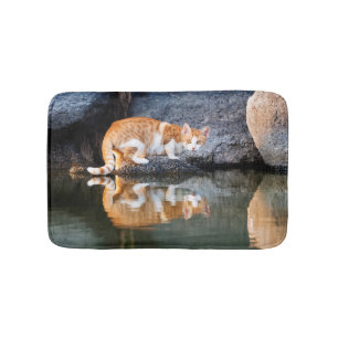 Tapete De Banheiro Reflexão Gato na Foto Engraçada em Água Pond -