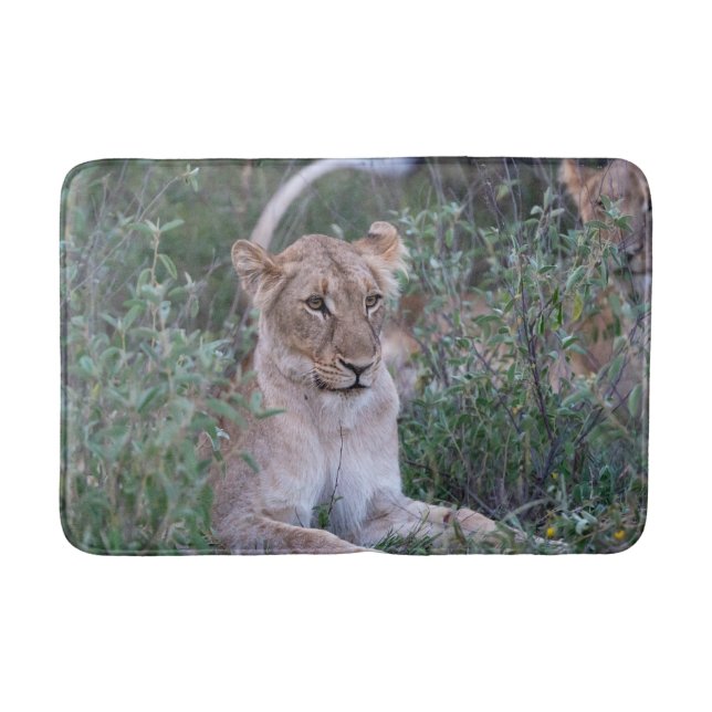 Tapete De Banheiro Resting Lioness Wildlife Photography (Frente)