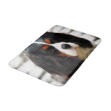 Retrato De Um Rei Charles Cavalier Spaniel