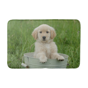 Tapete De Banheiro Retriever De Ouros Em Lavagem