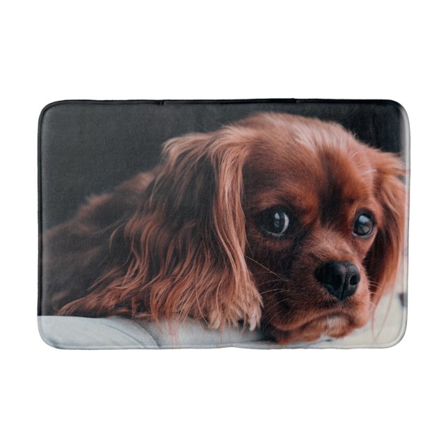 Tapete De Banheiro Ruby Cavalier King Charles Spaniel Puppy Dog (Frente)