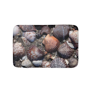 Tapete De Banheiro Seashells coloridos Scalloped em uma areia preta