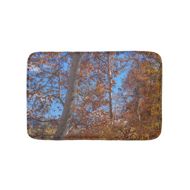 Tapete De Banheiro SEDONA SEASONING Oak Creek Canyon (frente)