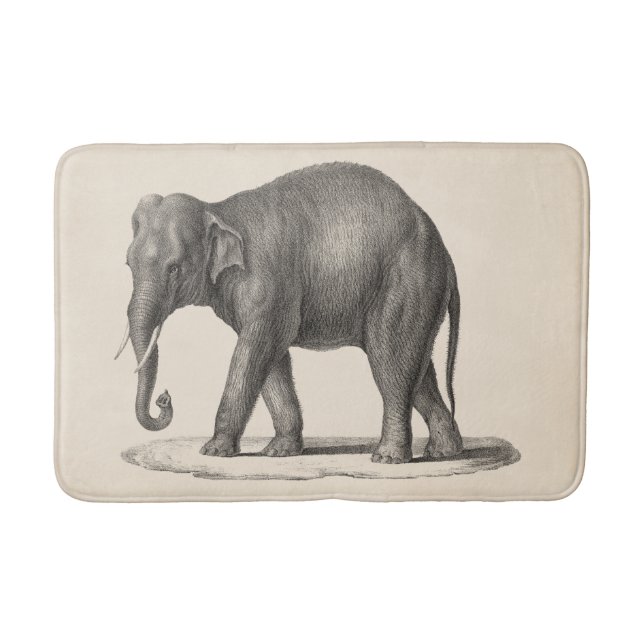 Tapete De Banheiro Sketch Brodtmann Elephant (Frente)