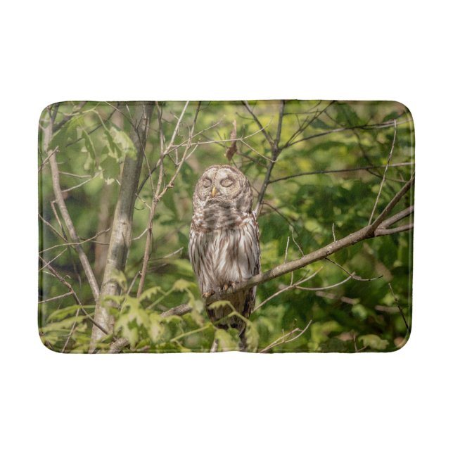 Tapete De Banheiro Sleepy Barred Owl (Frente)