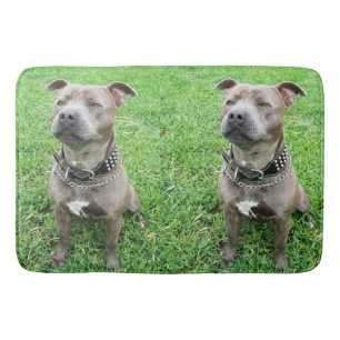 Tapete De Banheiro Staffordshire Bull Terrier Sentado À Atenção,