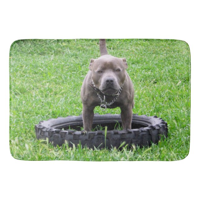Tapete De Banheiro Staffy Bull Terrier Time To Play, (Frente)