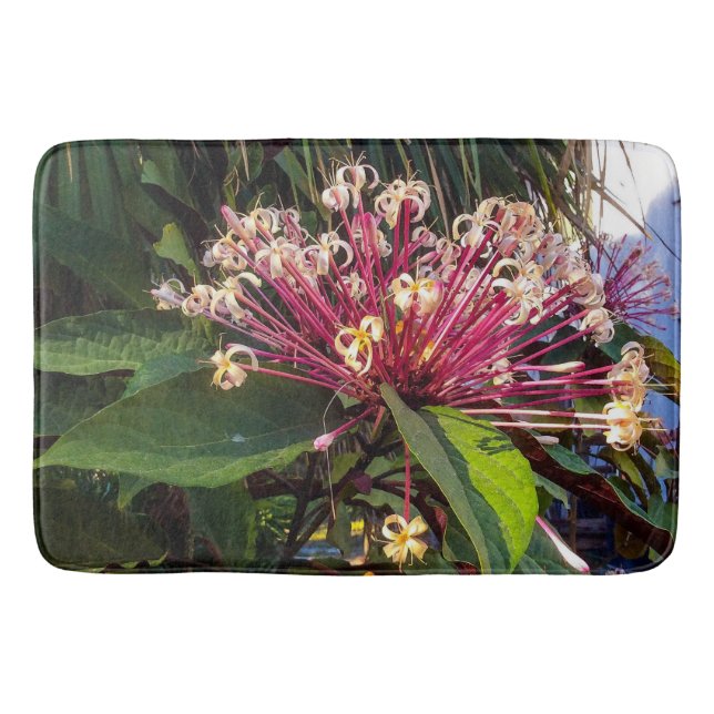 Tapete De Banheiro Starburst Clerodendrum Flowers Bath Mat (Frente)