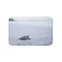 Tartaruga de mar do bebê