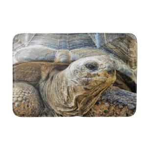 TAPETE DE BANHEIRO TORTOISE