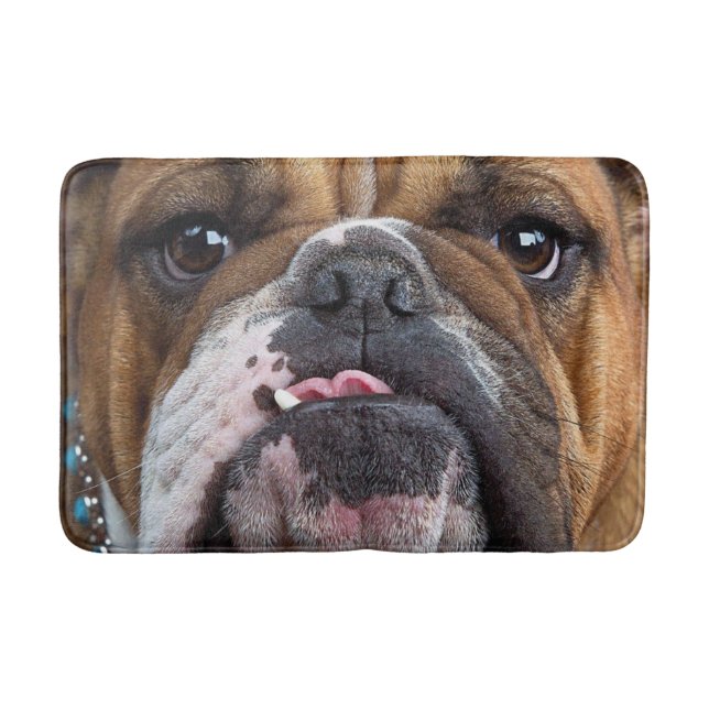 Tapete De Banheiro Travesseiro decorativo Inglês Bulldog (Frente)
