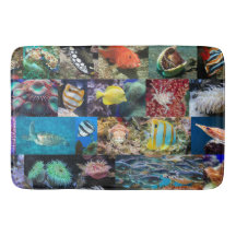 Trendy Coral Reef Marine Life: Peixes e Animais