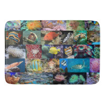 Trendy Coral Reef Marine Life: Peixes e Animais