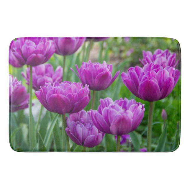 Tapete De Banheiro Tulipas lilás brilhantes num dia ensolarado (Frente)