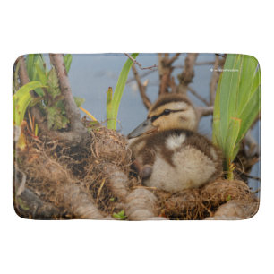 Tapete De Banheiro Um Batido de Mallard Bonito e Precoce