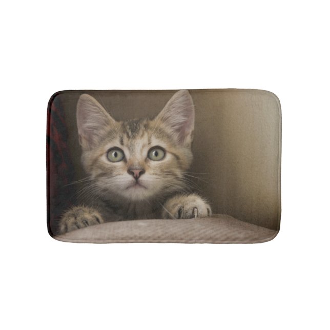 Tapete De Banheiro Um gatinho muito doce do gato malhado (frente)