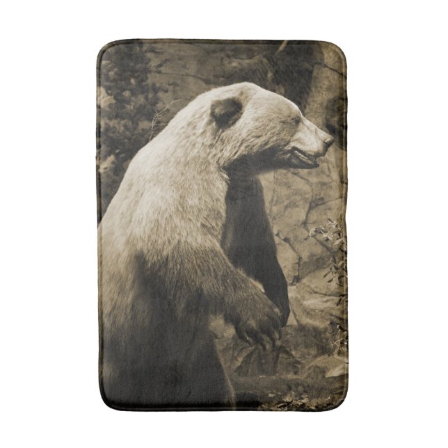 Tapete De Banheiro Urso Ordenado (Frente Vertical)