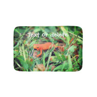 Vermelho Eft Laranja Salamandra Natureza 1