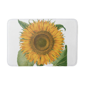 Tapete De Banheiro Vintage Sunflower Flower by Basilius Besler