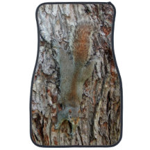 O Esquilo É Camuflado