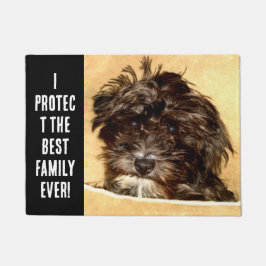 Tapete de Entrada com Schnoodle