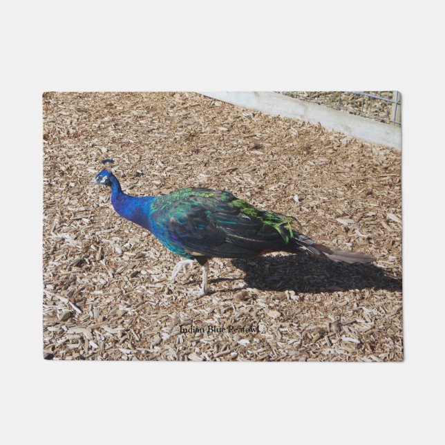 tapete de entrada de Pavão Azul Indiano (Frente)