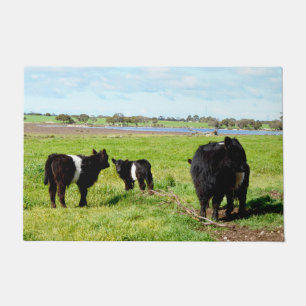 Tapete De Mummy And Baby Galloway Cows