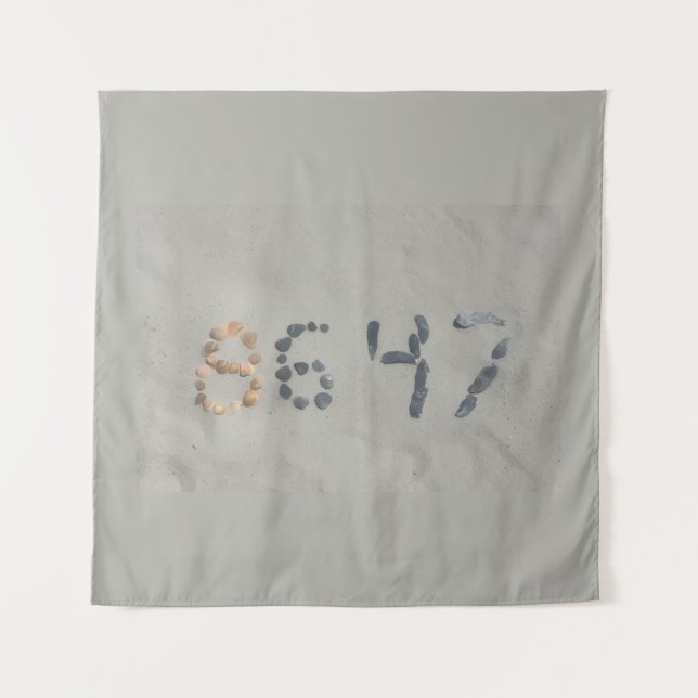 TAPETE DE PAREDE 8647 (Frente)