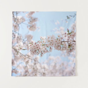 Tapete De Parede A cereja branca floresce sob o céu azul claro no m