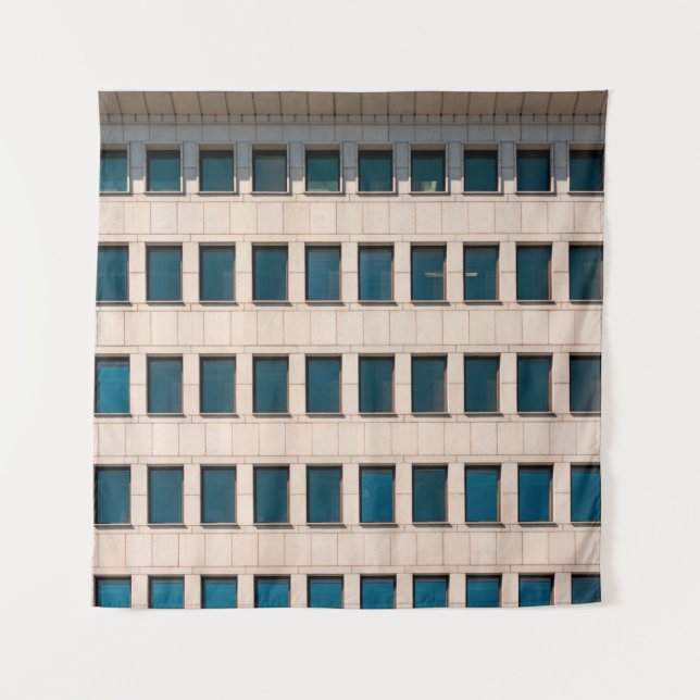 Tapete De Parede A fachada do edifício moderno com retangular (Frente)